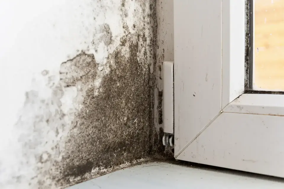 Restoring Your Peace Of Mind After Unexpected Flooding — Las Vegas, NV